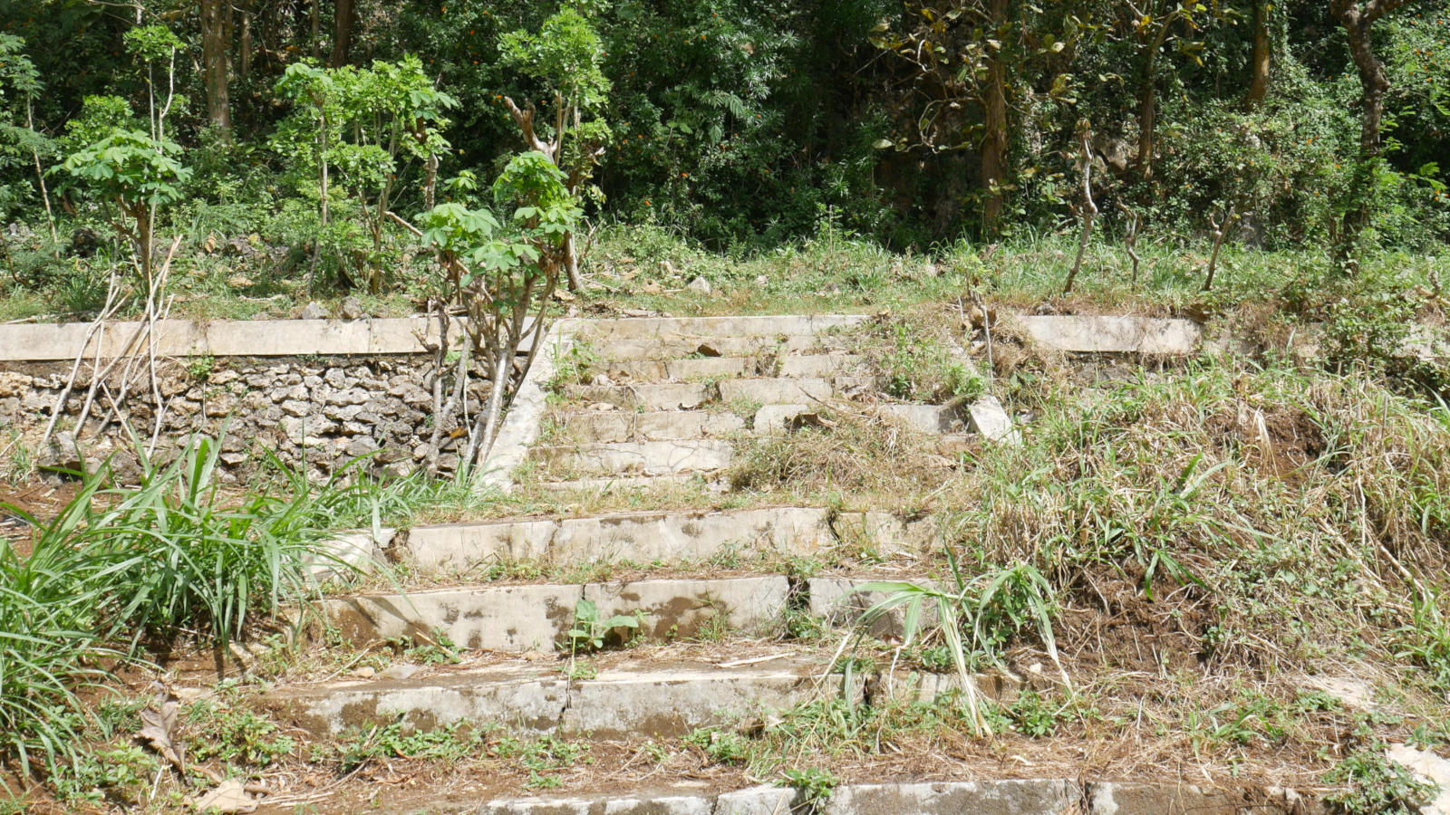 Nyanyi Sunyi Telaga dalam Rezim Pembangunan